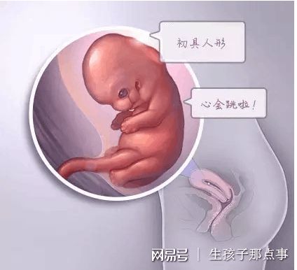 42岁二胎案例